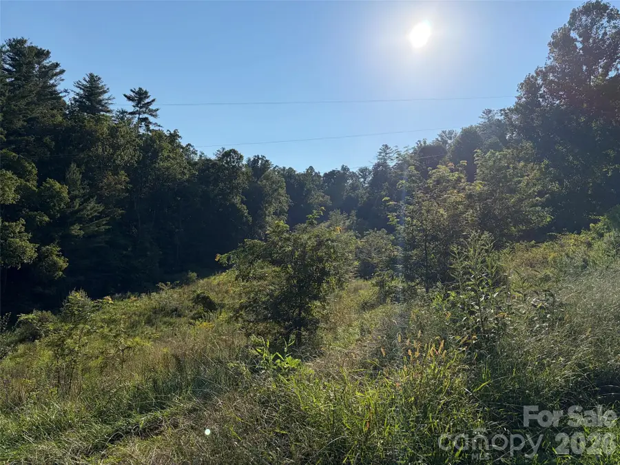 4401 Meadows Town Road, Marshall, NC 28753 - #3