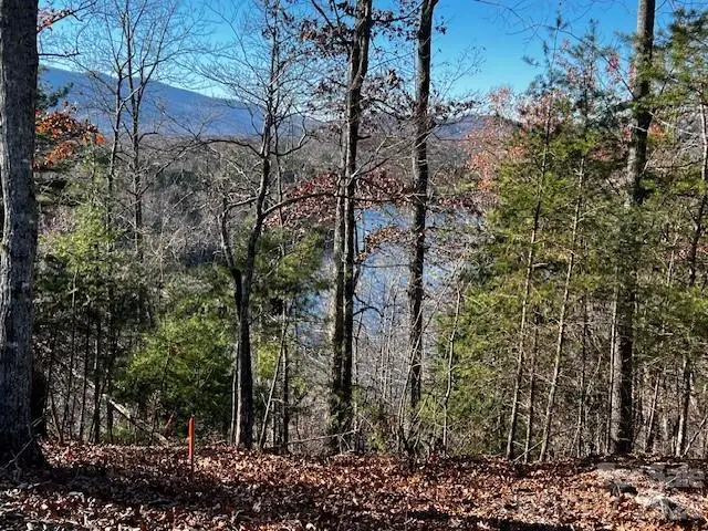 23 Mountain Parkway, Mill Spring, NC 28756 - #3