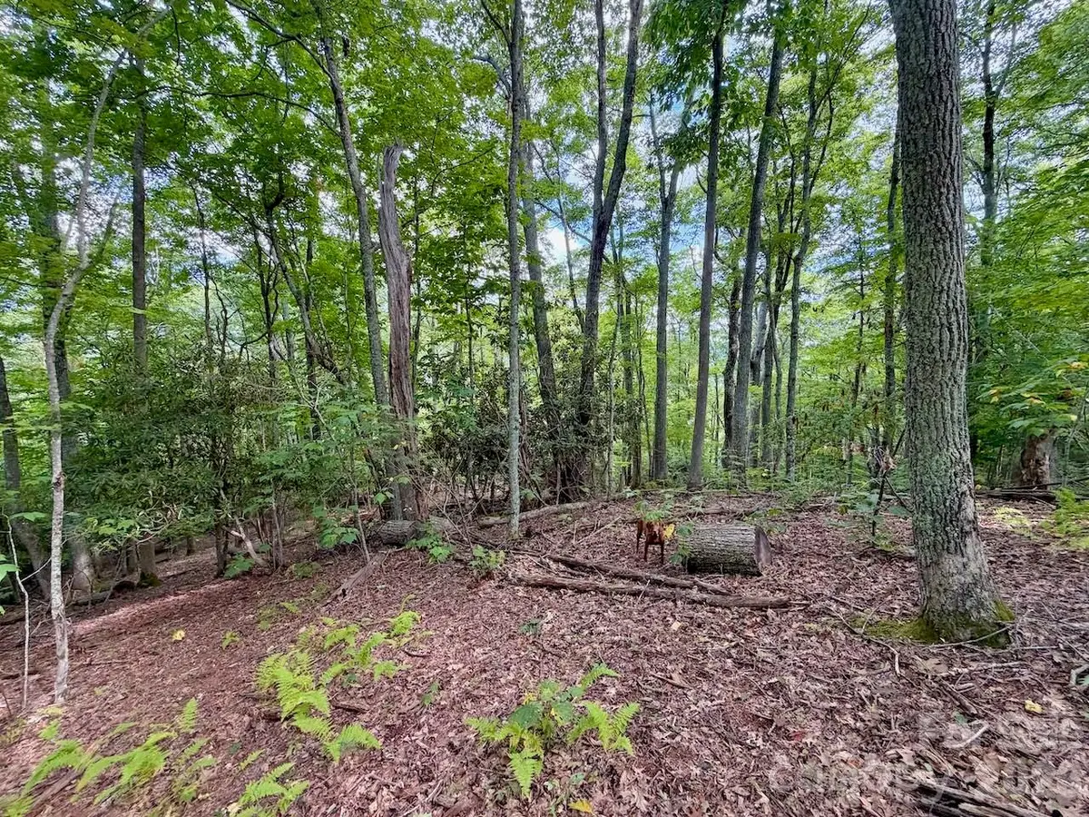 TBD Galax Lane #45, Banner Elk, NC 28604 - #1
