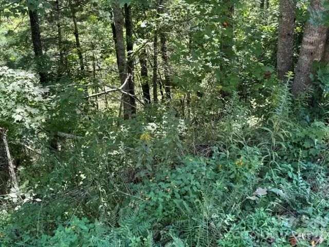 TBD Jarvis Drive, Hendersonville, NC 28792 - #3