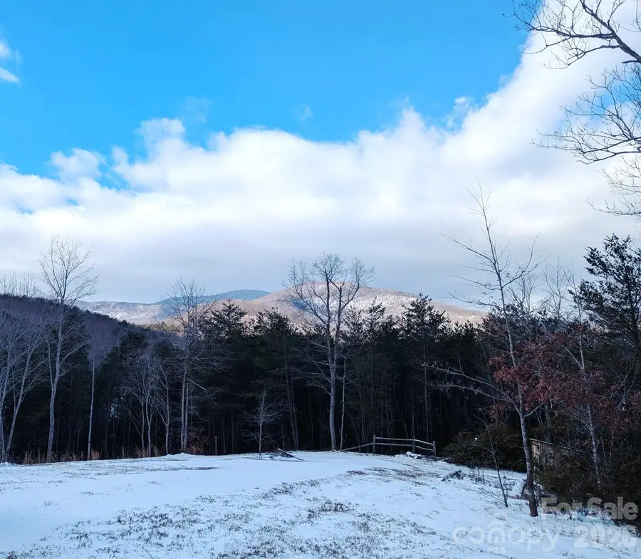 1318 Laughter Road, Mill Spring, NC 28756 - #2