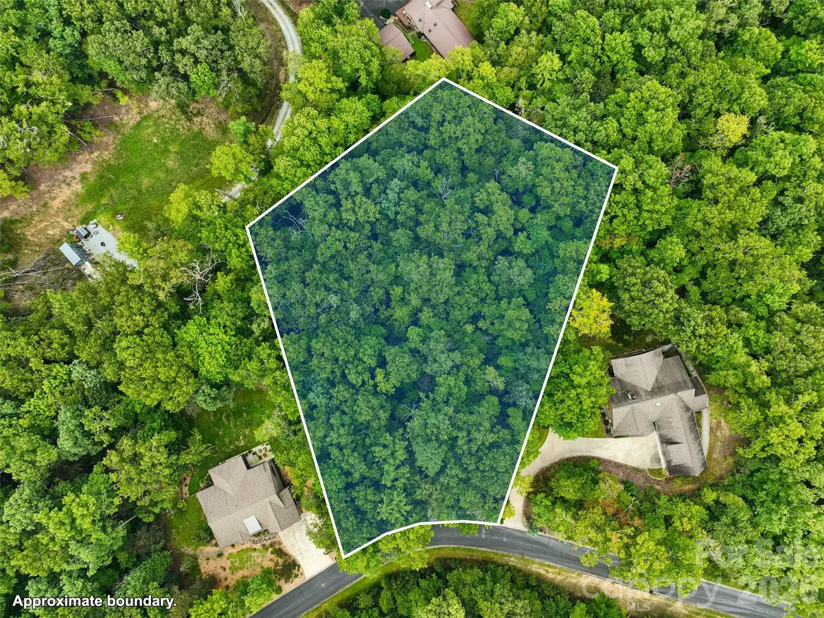 230 Shining Rock Path #64, Horse Shoe, NC 28742 - #1
