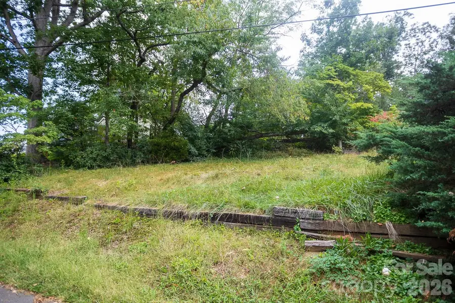 99999 Pine Cone Drive, Asheville, NC 28805 - #2