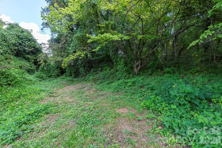 22 Weaver Street, Asheville, NC 28801 - #2