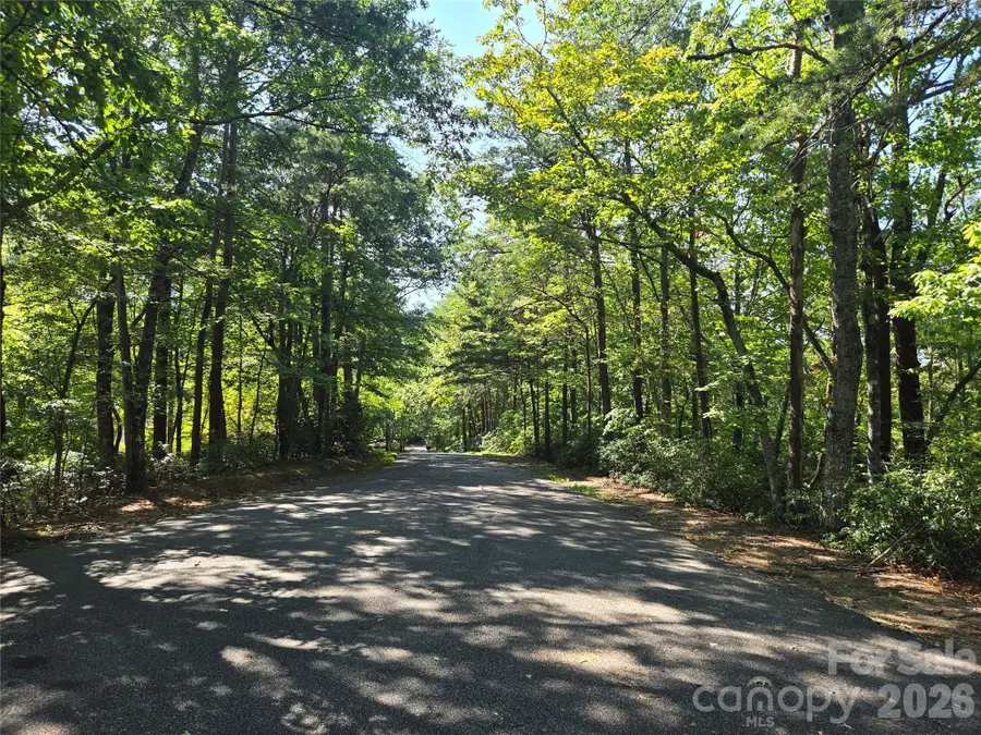 Lot 124, 125, & 101 Banjo Court, Lake Lure, NC 28746 - #3