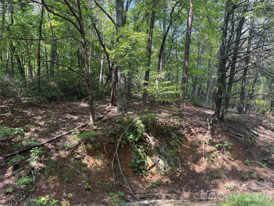 Lot 35 Roundabout Road, Lake Lure, NC 28746 - #3