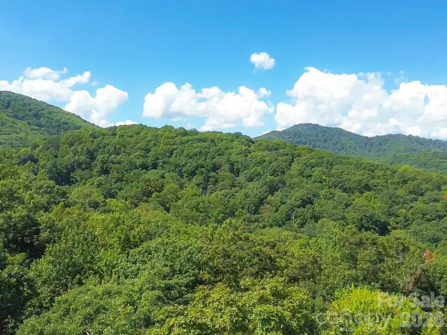 99999 High Top Mountain Road #Lots 1, 2 & 3, Leicester, NC 28748 - #3