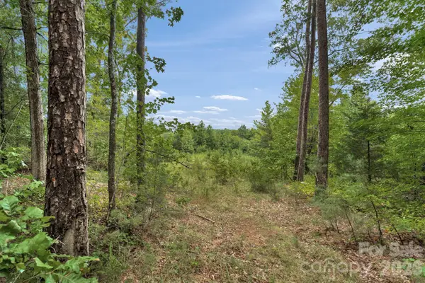 00 Mountain Road, Cleveland, NC 27013