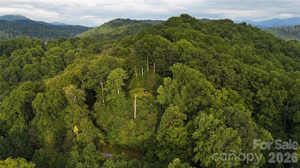 200 and 201 Fern Hill Drive, Mars Hill, NC 28754 - #1