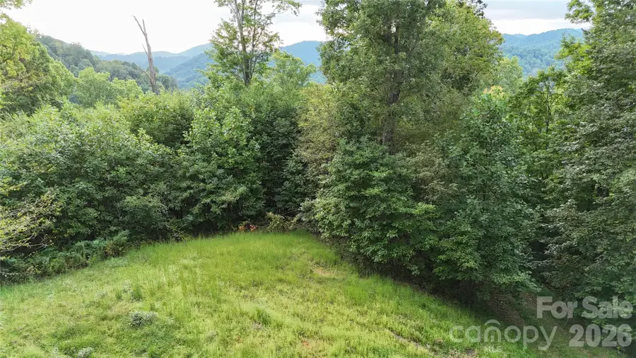 200 and 201 Fern Hill Drive, Mars Hill, NC 28754 - #3