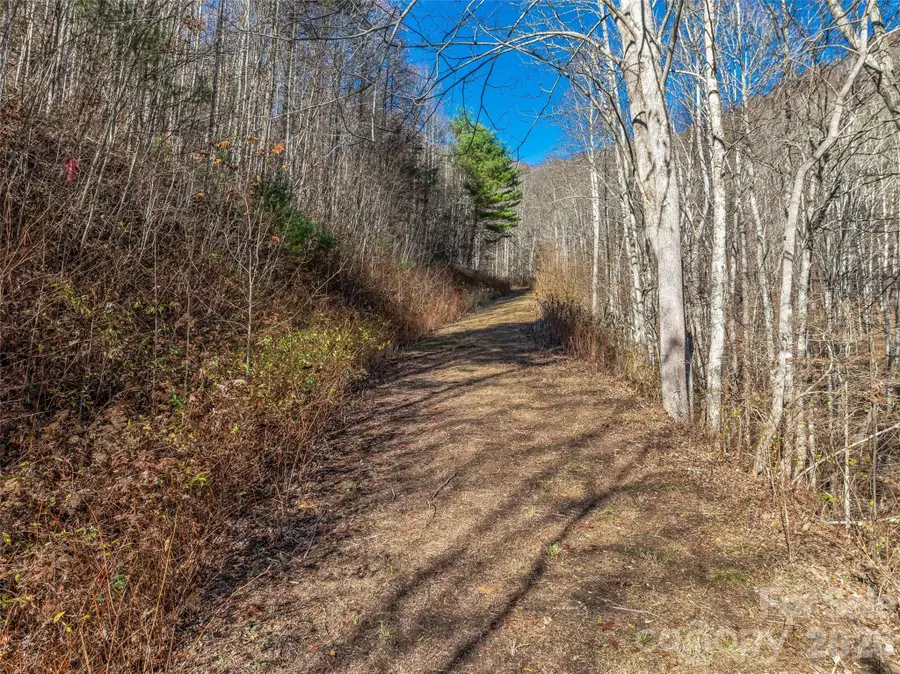TBD Walnut Creek Road, Marshall, NC 28753 - #2