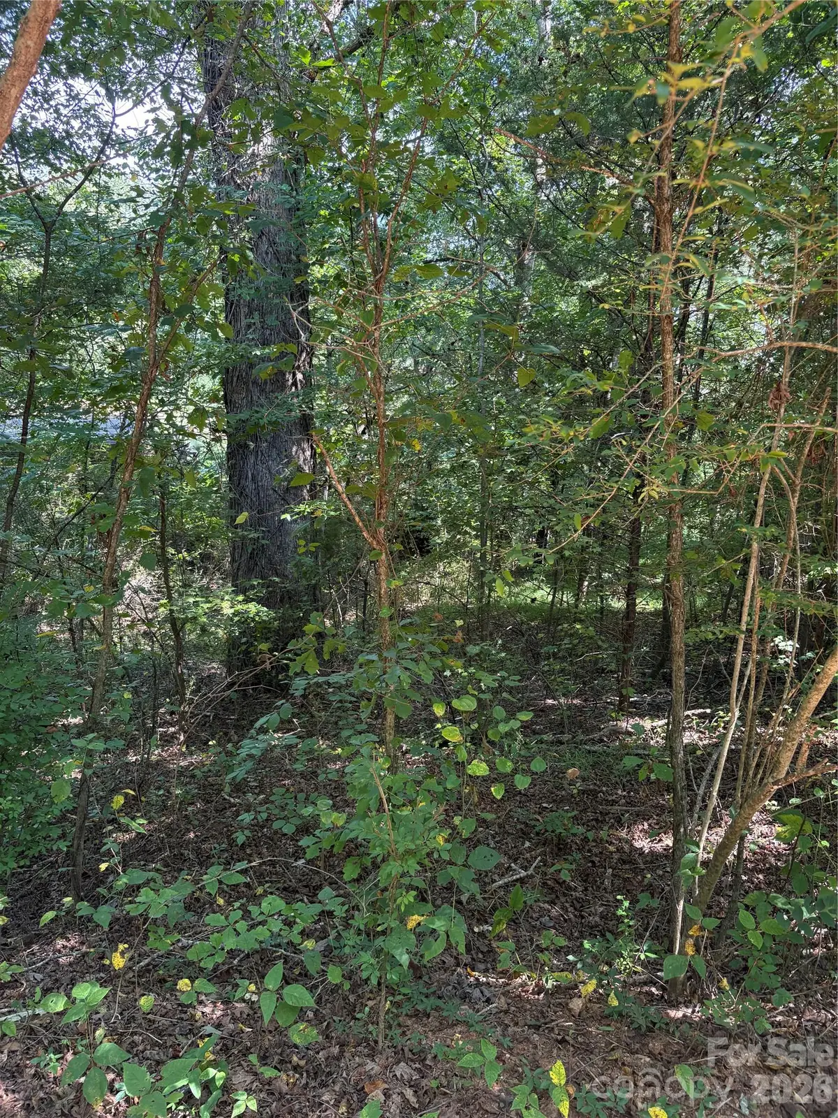 TBD Bedford Creek Road, Ellenboro, NC 28040 - #1