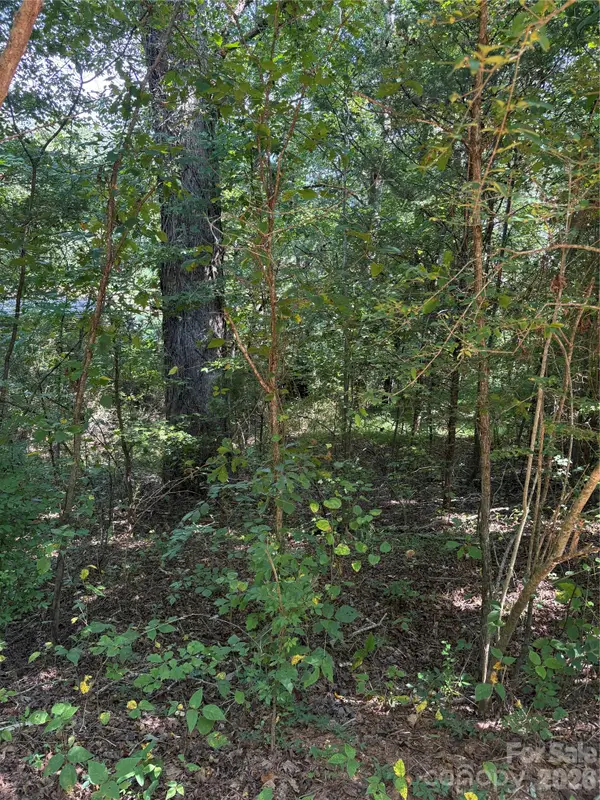 TBD Bedford Creek Road, Ellenboro, NC 28040