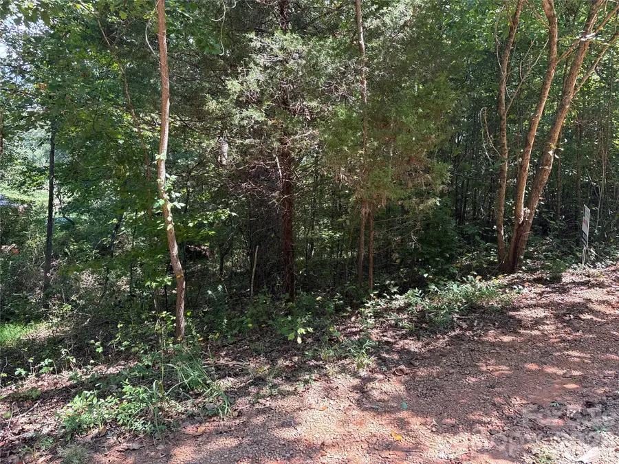 TBD Bedford Creek Road, Ellenboro, NC 28040 - #2