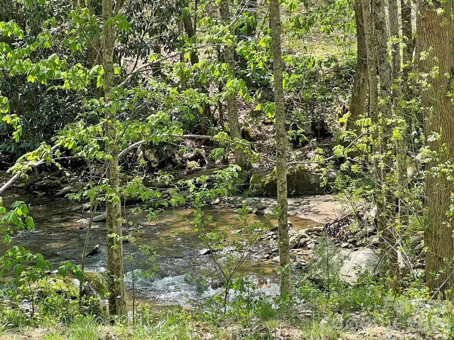 9999 Nc 209 Highway, Hot Springs, NC 28743 - #3