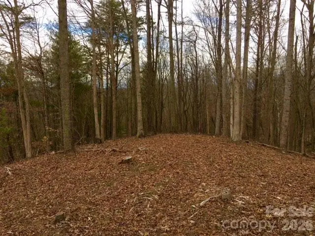 45 Sweet Fern Parkway #43, Asheville, NC 28804 - #3