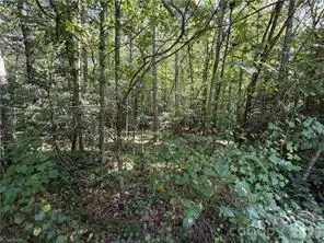 Lot 20 & 21 Zinzendorf Lane #20 & 21, Moravian Falls, NC 28654