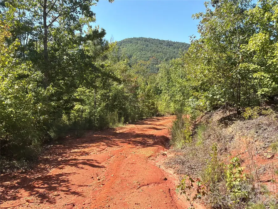 00 Camp Knob Road, Casar, NC 28020 - #2