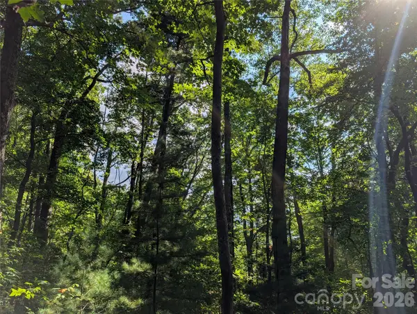 0 Raspberry None, Spring Creek, NC 28743