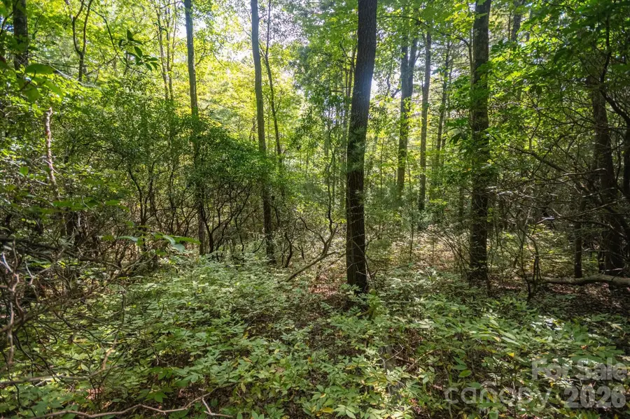 TBD Blue Ridge Road, Lake Toxaway, NC 28747 - #3