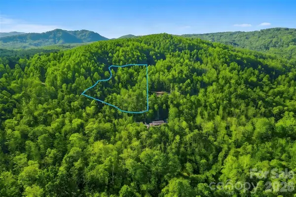 000 Jill Drive, Nebo, NC 28761