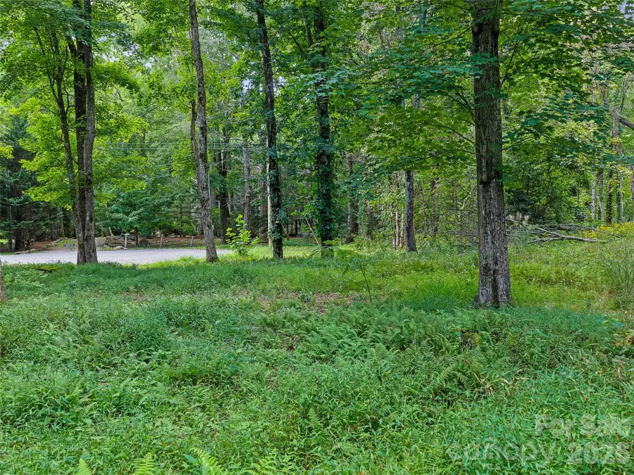0 Riverlinks Drive #6, Burnsville, NC 28714 - #3