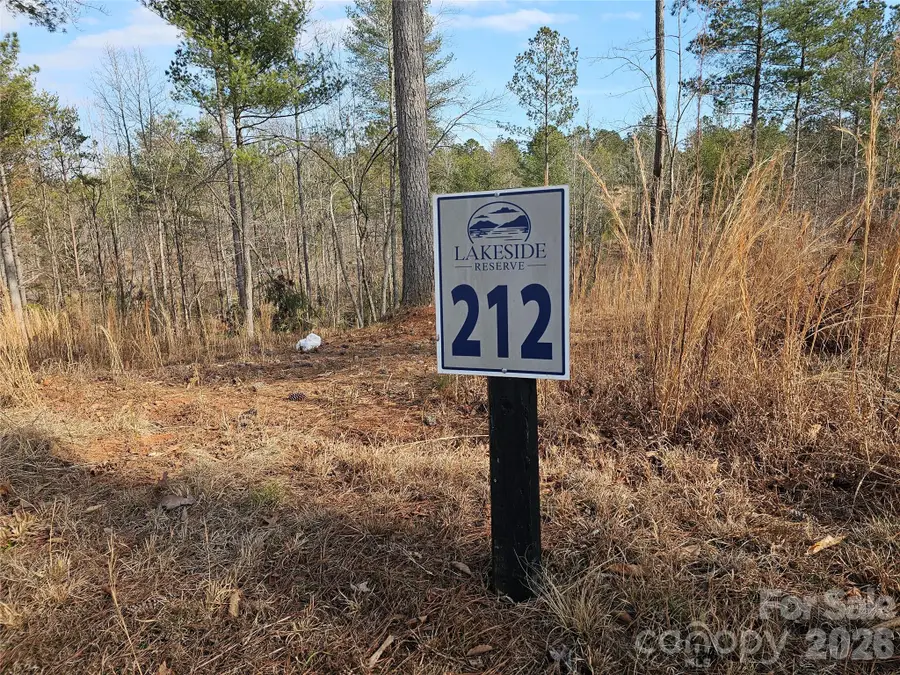 3318 Pyramid Peak Trail #212, Connelly Springs, NC 28612 - #2