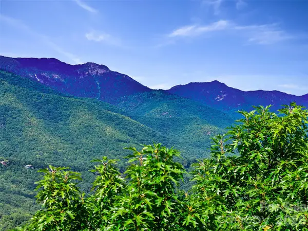 0 Big Ridge Road #31, Burnsville, NC 28714