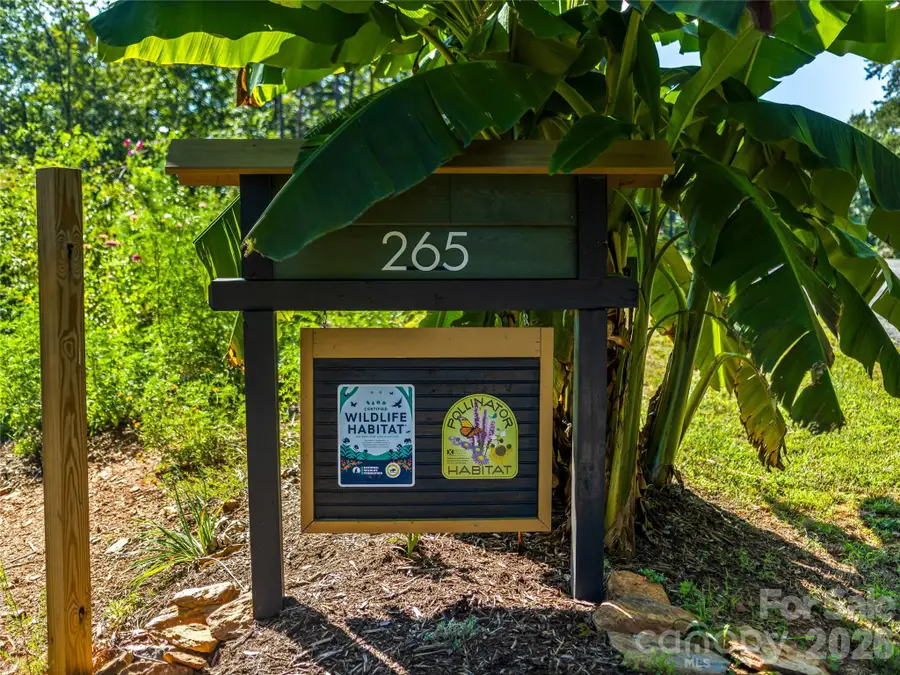 265 Idlewild Drive, Bostic, NC 28018 - #3