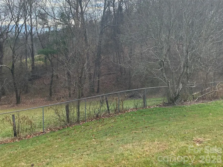48 Mckinnish Cove Drive, Asheville, NC 28806 - #2