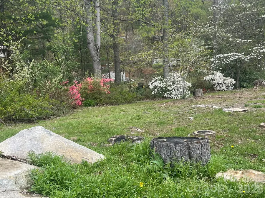 48 Mckinnish Cove Drive, Asheville, NC 28806 - #3