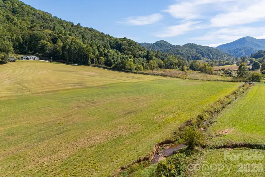 422 S Turkey Creek Road, Leicester, NC 28748 - #3