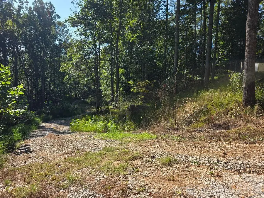 181 Poison Ivy Drive, Burnsville, NC 28714 - #2
