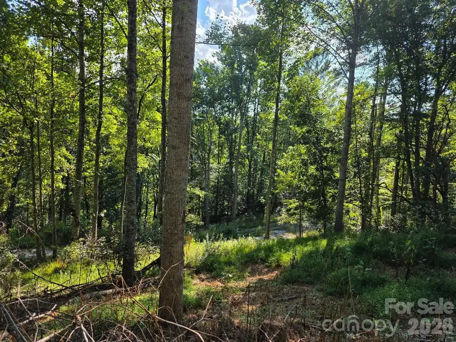181 Poison Ivy Drive, Burnsville, NC 28714 - #3