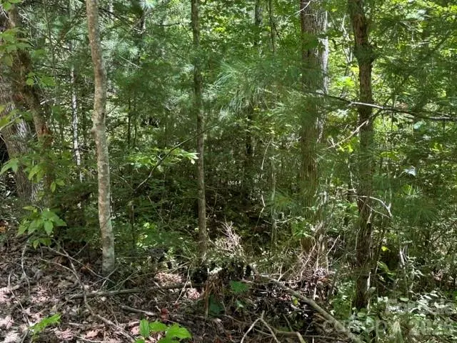 TBD Jarvis Drive, Hendersonville, NC 28792 - #3