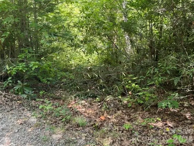 TBD Jarvis Drive, Hendersonville, NC 28792 - #3