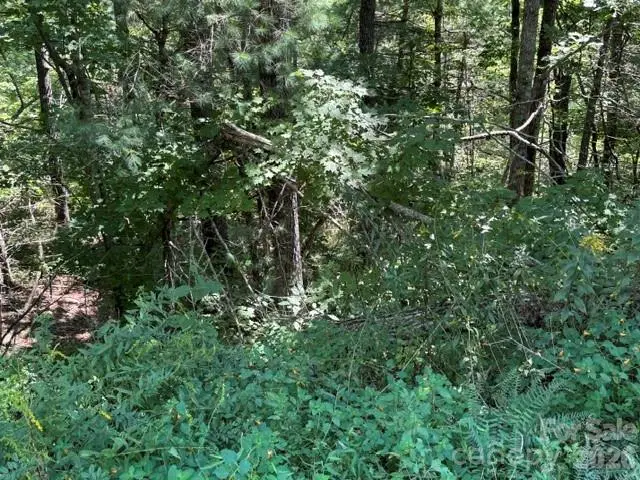 TBD Jarvis Drive, Hendersonville, NC 28792 - #3