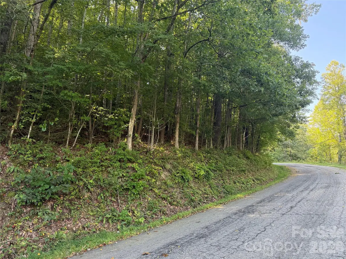 000A Bobcat Road, Waynesville, NC 28785 - #1