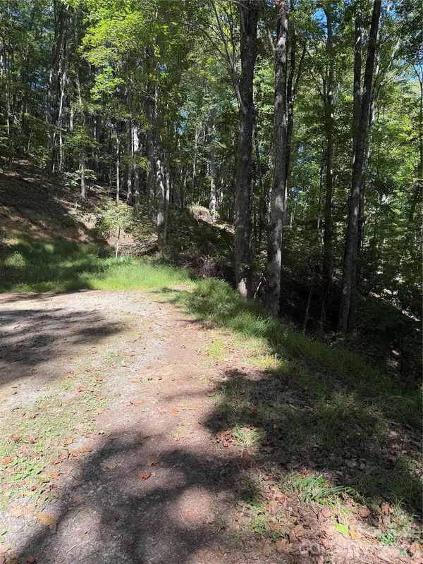 38 Gardenside Lane, Mars Hill, NC 28754