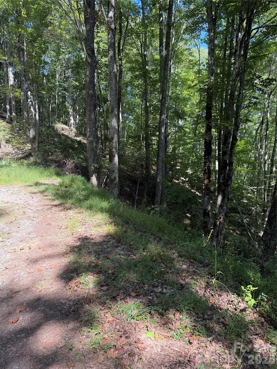 38 Gardenside Lane, Mars Hill, NC 28754 - #2