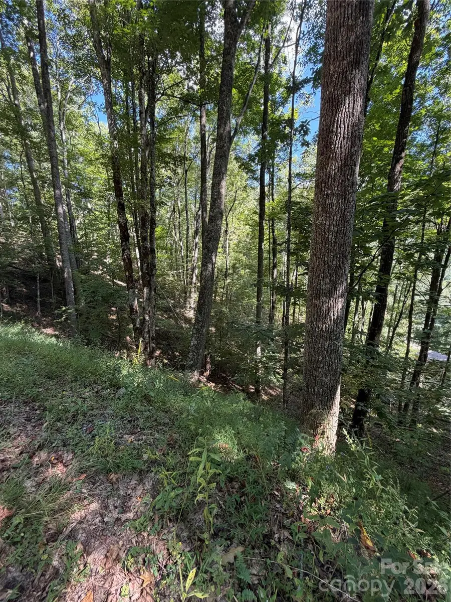 38 Gardenside Lane, Mars Hill, NC 28754 - #3