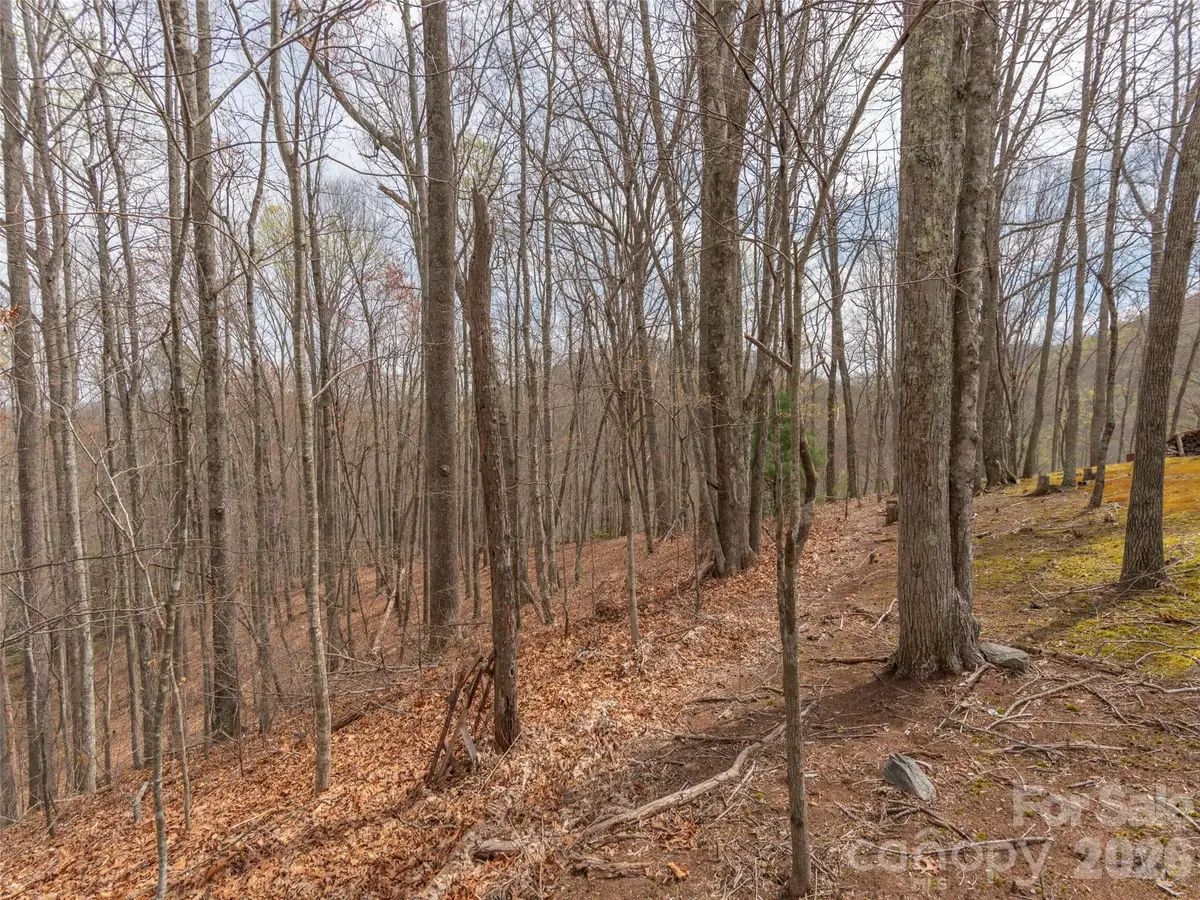 00 Michele Lane #4, Leicester, NC 28748 - #1