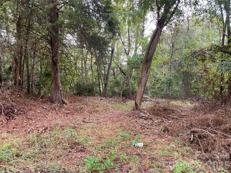 0 Slayton Street, Whitmire, SC 29178 - #3