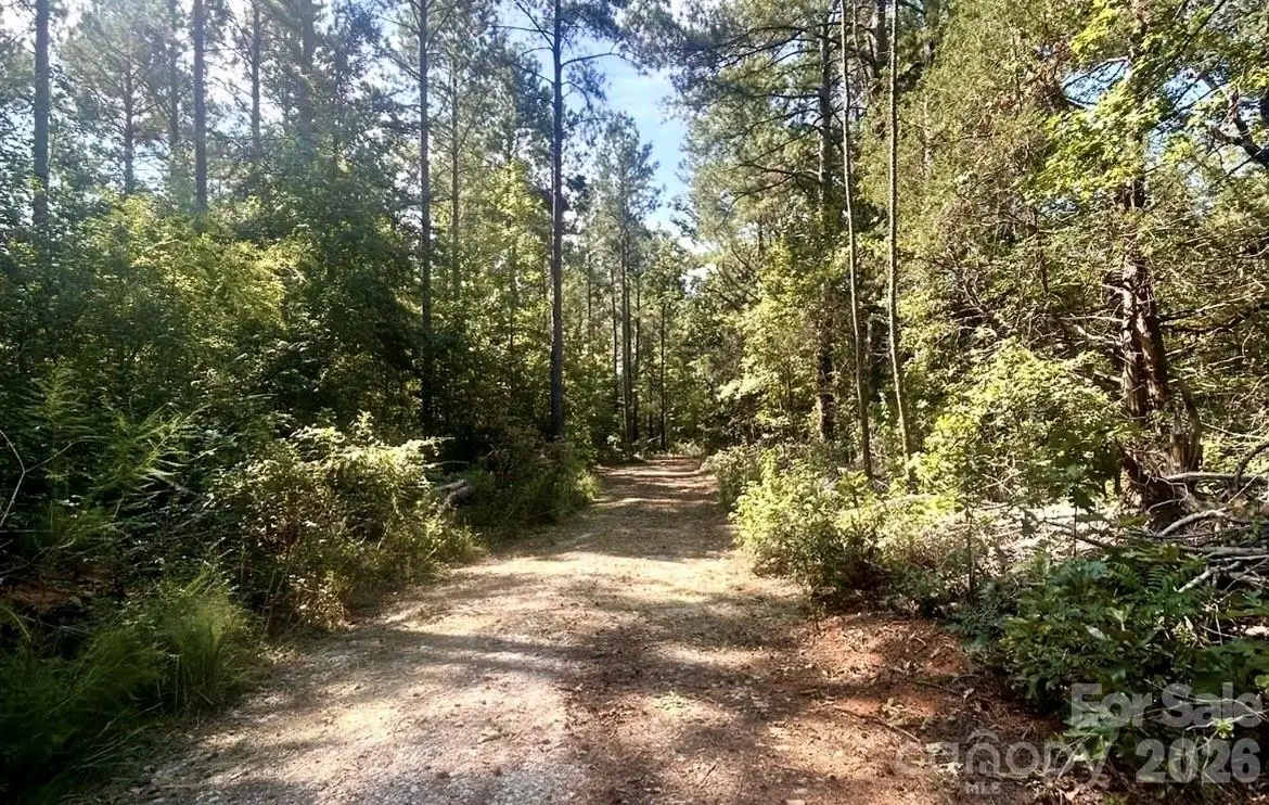 1216 Ross Road, Blackstock, SC 29014 - #1