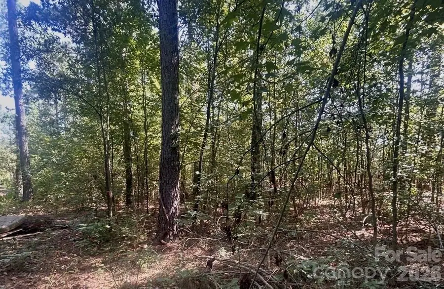 1216 Ross Road, Blackstock, SC 29014 - #3