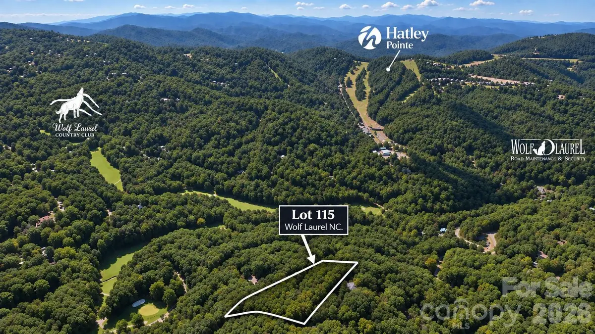 LOT 115 Sugar Tree Lane #115, Mars Hill, NC 28754 - #1