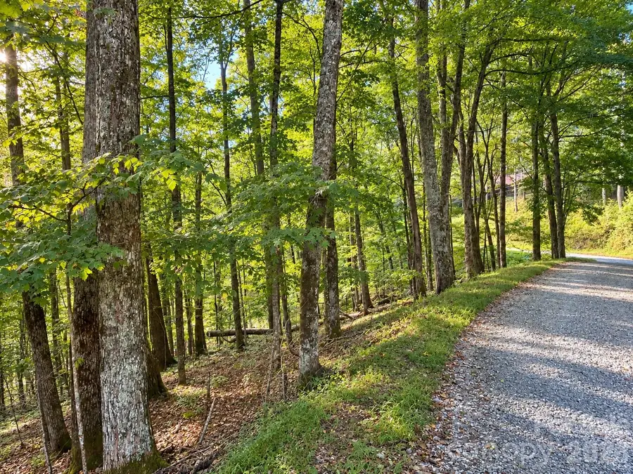 LOT 115 Sugar Tree Lane #115, Mars Hill, NC 28754 - #2