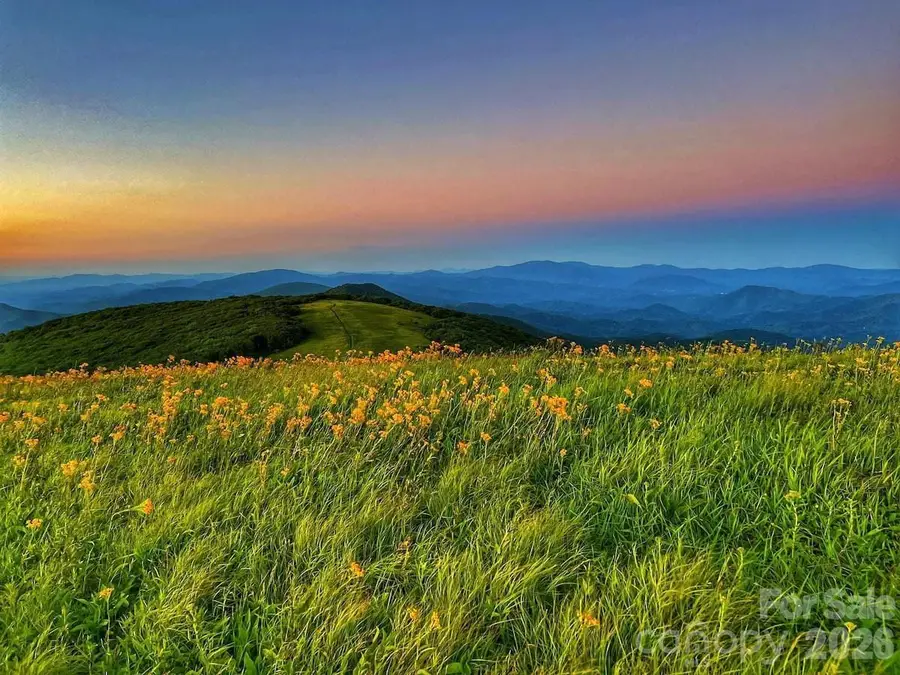 LOT 115 Sugar Tree Lane #115, Mars Hill, NC 28754 - #3