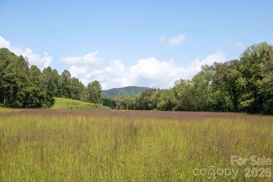 3305 Zacks Fork Road, Lenoir, NC 28645 - #2