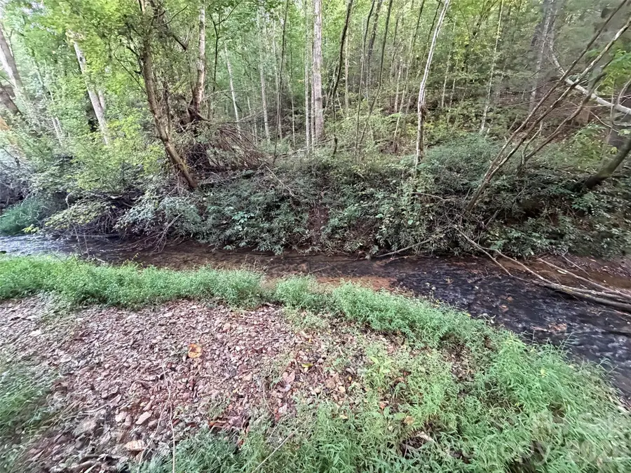 V/L Vein Mountain Road, Nebo, NC 28761 - #2
